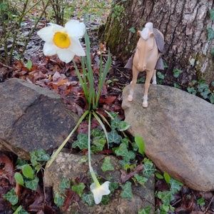 Meet your Posher, Scott